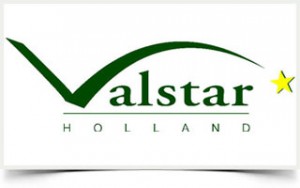 Valstar Holland empresa instalada en Negocia Business Area