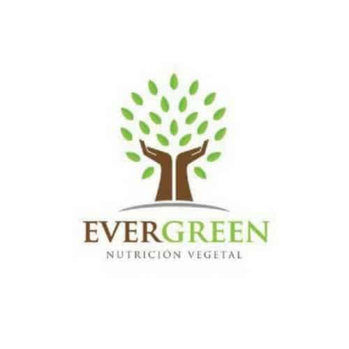 evergreen nutrición