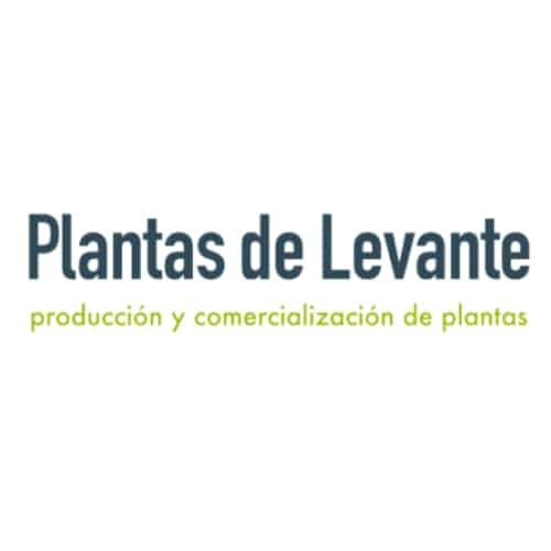 plantas de levante