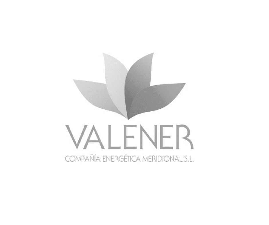 empresa instalada en centro de negocios almería valener
